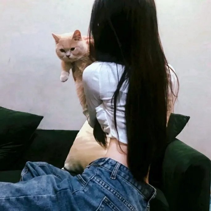 爱情手册2
